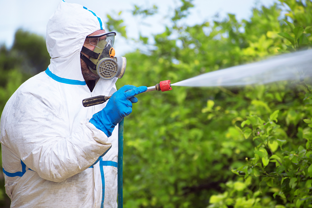 Bugs exterminator in the garden.